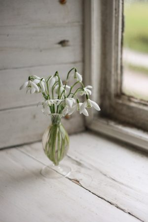 Fluted Glass Bud Vase