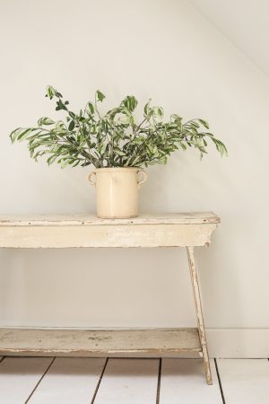 Large Antique Italian Confit Pot