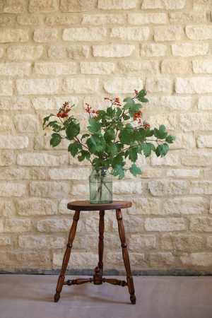 Antique Circular Wooden Stool